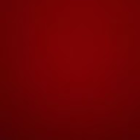 Meet your Posher, Shlomo - Picture 1 of 1